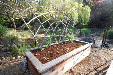 Inspiration for an eclectic landscaping in San Francisco.