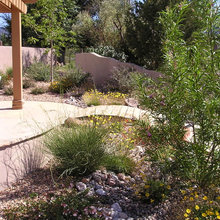 Landscape Ideas