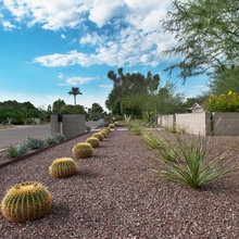 All Rock Yard