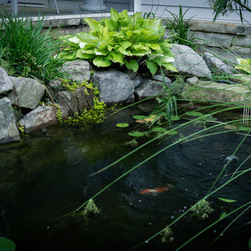 Backyard garden sanctuary