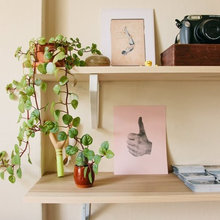 wall hangings, art, etc.