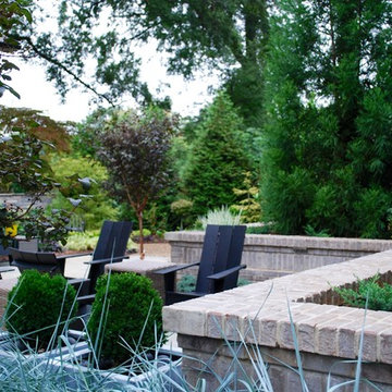 Selwyn Project: Backyard revisited