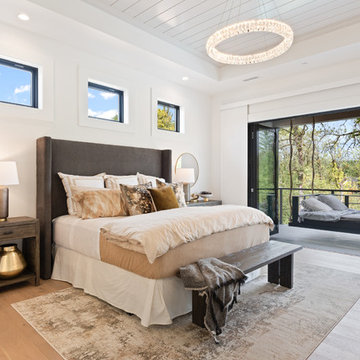 Transitional Bedroom