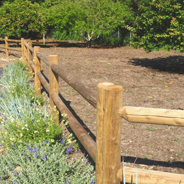Log post fencing at orchard