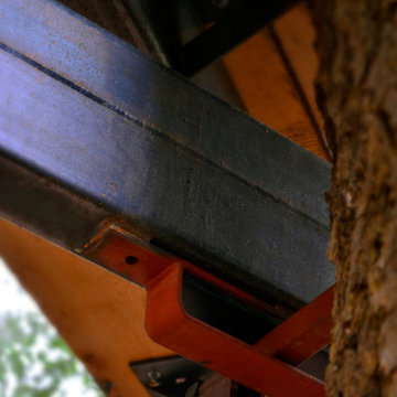 Bionic Tree House