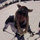 Amy Barker_Roark