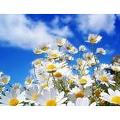 Vesna Sadlo's photo