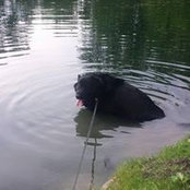Foto de Trevin Hutt
