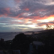 David Little's photo