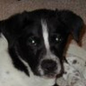 Molly Burgoon's photo