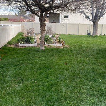 Before Picture