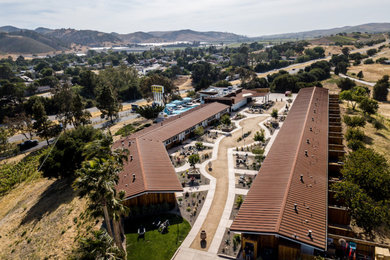 Inspiration for a mid-century modern landscaping in Santa Barbara.