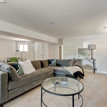 Chicago Home Remodel