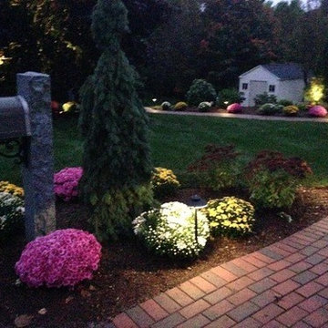 Landscape Lighting