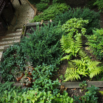 Hillside Urban Garden