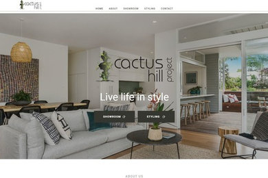 Cactus Hill Project Website