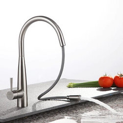 Contemporary Single Handle Brass Mixed Pull-out Kitchen Tap TN0823 - Kitchen Faucets