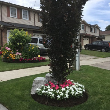 Garden With Bursting Colour