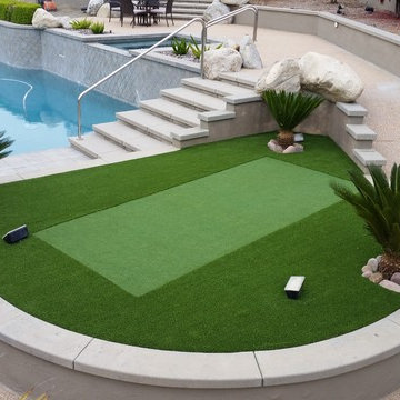 Hollins Backyard