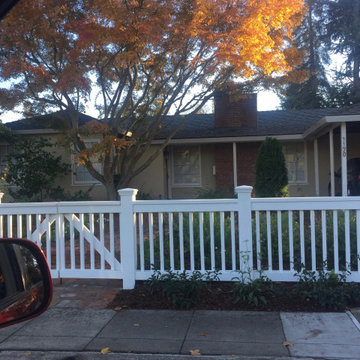 Lawn Goodbye 2018: After the Rains-- Progress Now Nov. 2019