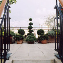 Paris Balcony