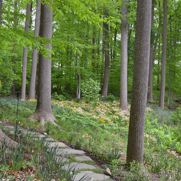 Woodland Garden