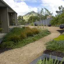 Garden ideas