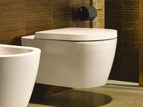 Wall Hung Toilet Yay Or Nay