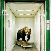 Michael Weinstein's photo