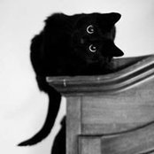 Maxine Borjons foto