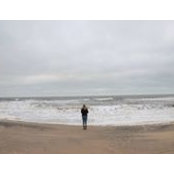 Brittany Terese's photo