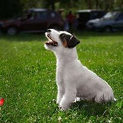 Лиана Манапова's photo