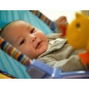 Susan Chen's photo