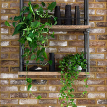 library, shelves, cubbies