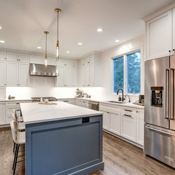 Contemporary Whole Home Renovation in Chevy Chase, MD.