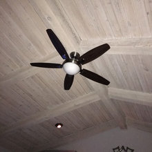 fan