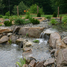 Landscape Ideas