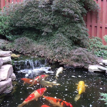 Prince William County Koi Pond & Japanese Garden