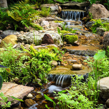 BACKYARD PARADISE
