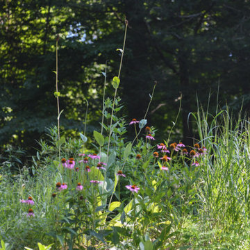 Pollinator Garden McLean, Va