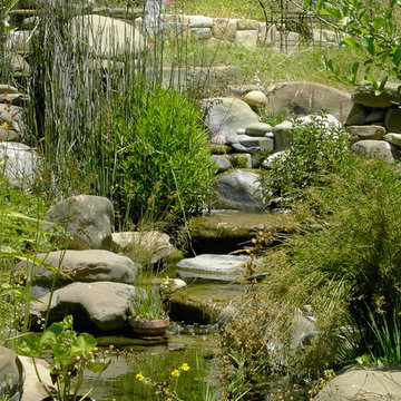 creek pond