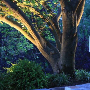 Back Yard Patio Renovation in Hunterdon County New Jersey