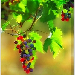 Molti Colori Outdoor Canvas Art - Artwork