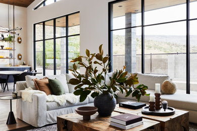 Living room - modern living room idea in Las Vegas