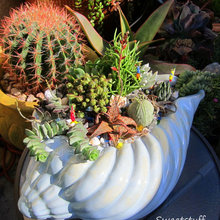 Ocean themed succulent pots