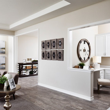 Daniel model home in Colorado