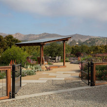 Landscape Ideas