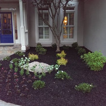 front yard