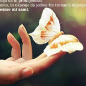 Nikica Piveta's photo