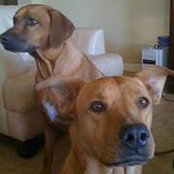 Roderick Watkins's photo